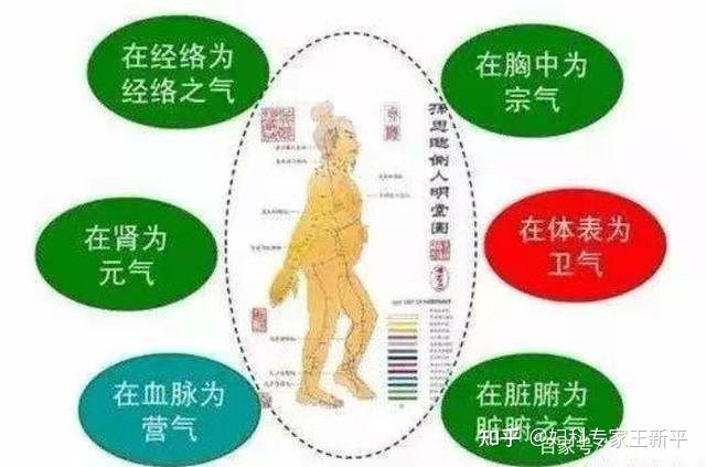 今天来给大常讲讲一个中医的基础知识 ——气 - 知乎