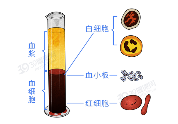 为什么一到医院就要抽血？为你揭秘：抽出来的血，最终去了哪儿 - 知乎