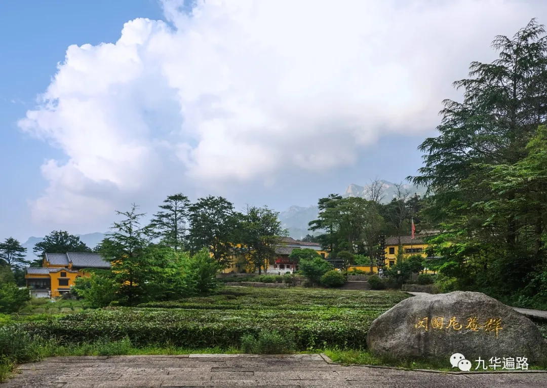 莲花庵位于九华山的闵园景区.