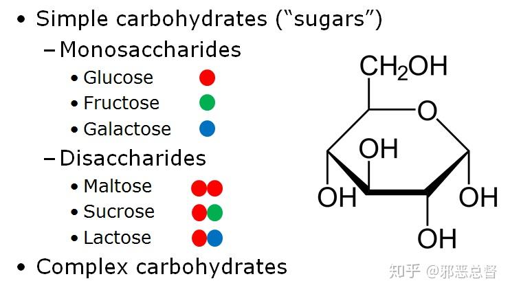 半乳糖环状结构式图片