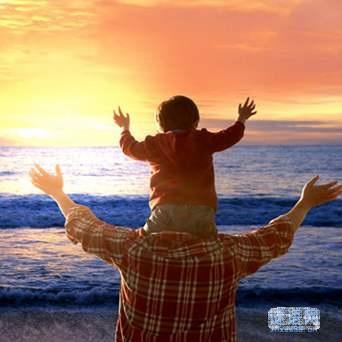 亲爱的安德烈 龙应台摘抄 知乎