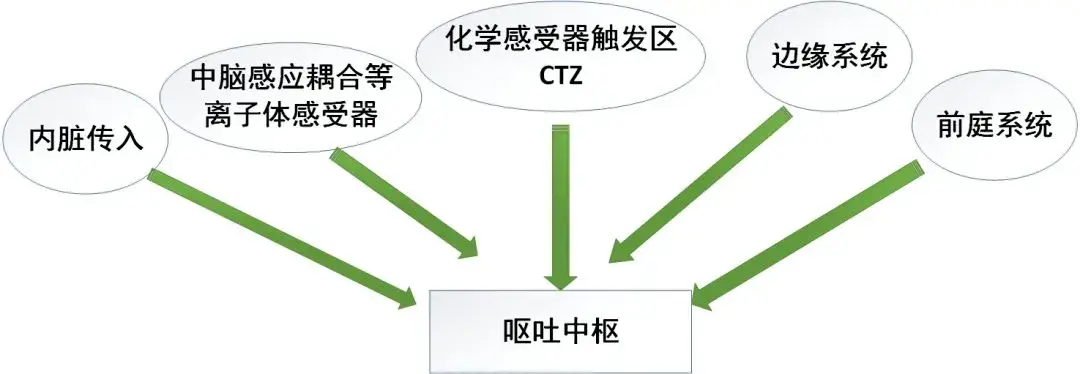 超全化療所致噁心嘔吐的處理方案這篇文章總結好了