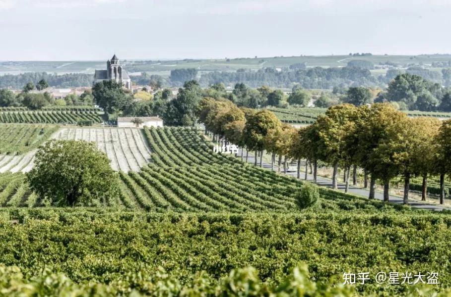 法国干邑镇一部燃烧500年的历史教科书