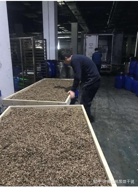 空气能黑水虻烘干机是用一种空气能热泵干燥,这种热泵干燥是一种温和