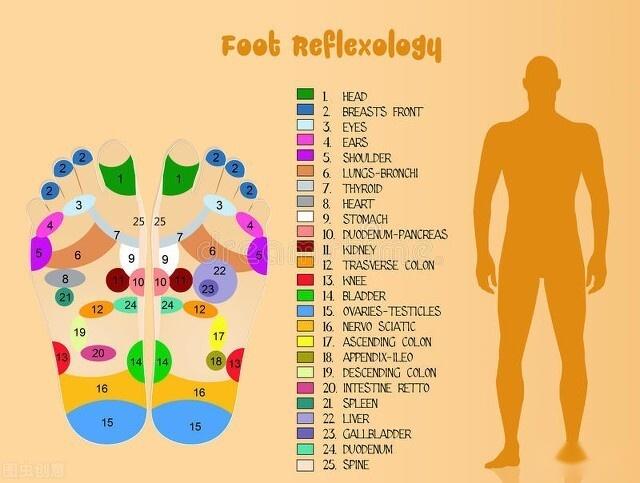 此外,腳底抹油按摩應該指的是全息療法,此療法認為腳底的各部位能反射
