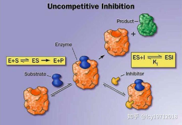 酶的抑制作用与抑制剂(三) - 知乎
