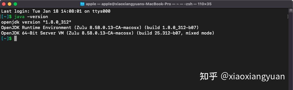 Mac M1 安装 Java 环境 - 知乎
