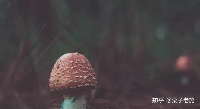 走进丁丁的冒险旅程