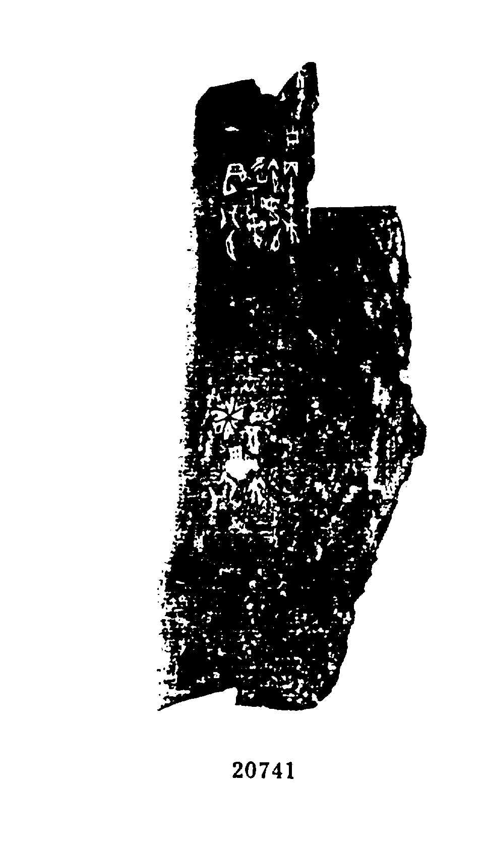 甲骨文、金文所见:龙族 - 知乎