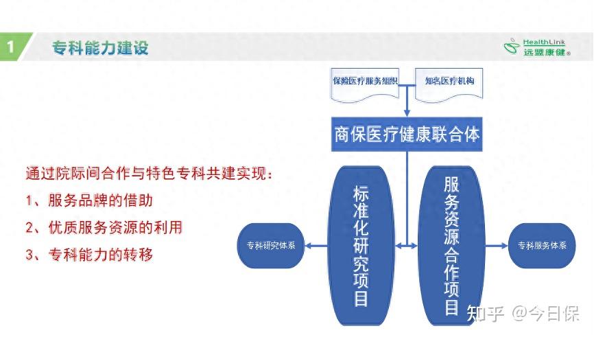 4 远盟发展保险医疗健康服务体系的整体规划