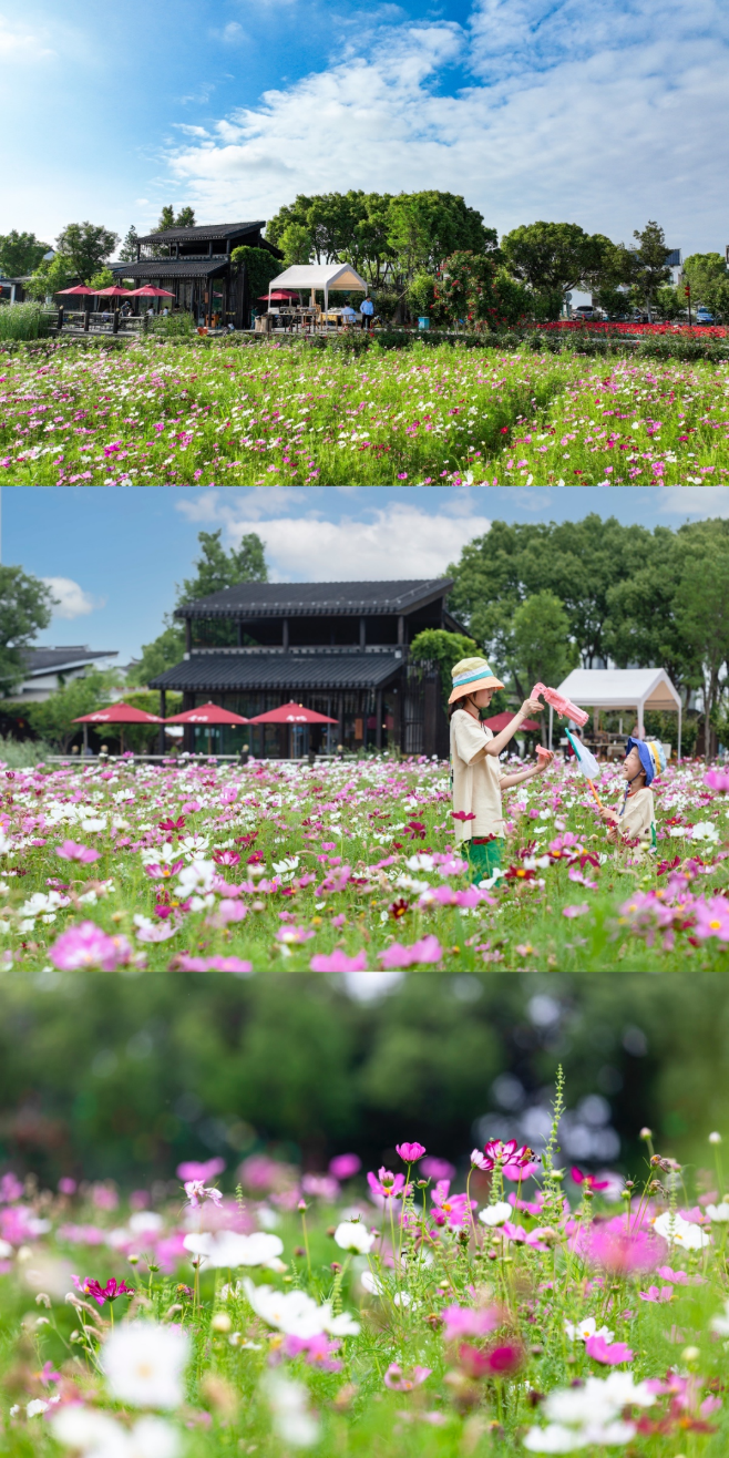 做一日小農夫收集香村的夏日小確幸蘇州周莊