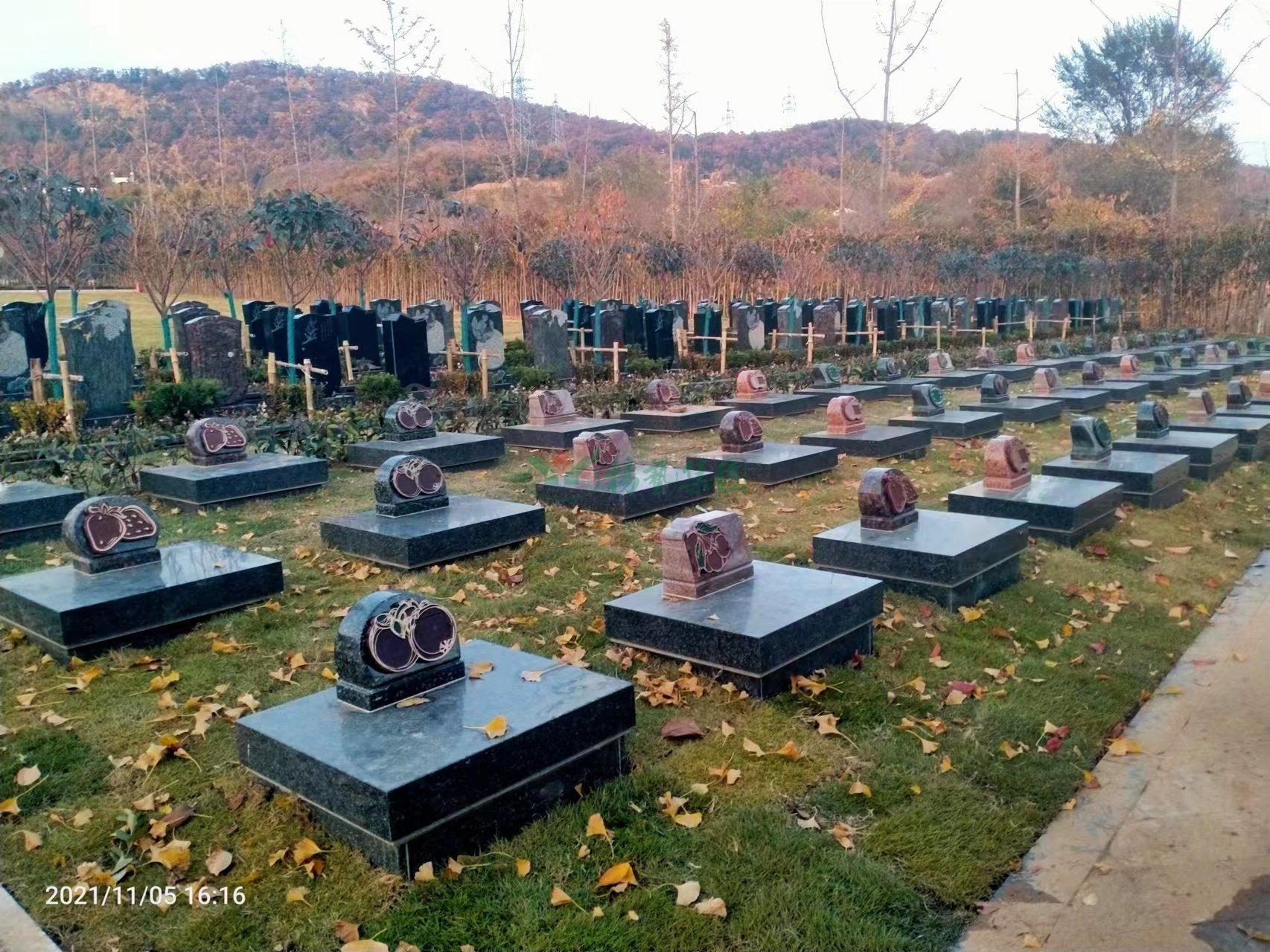 监理单位和威海市金山公墓一起组织专