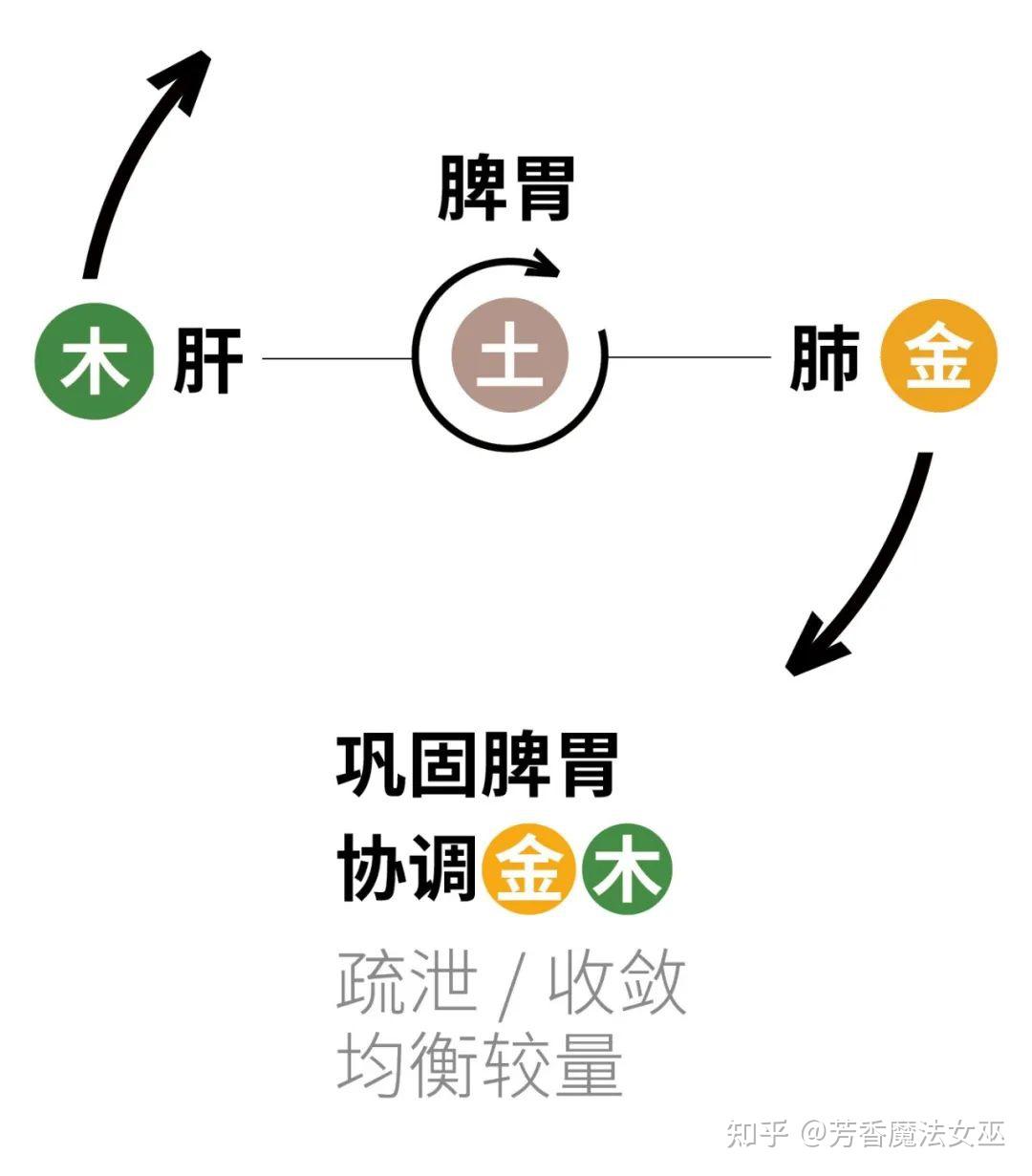 养肺也要疏通大肠