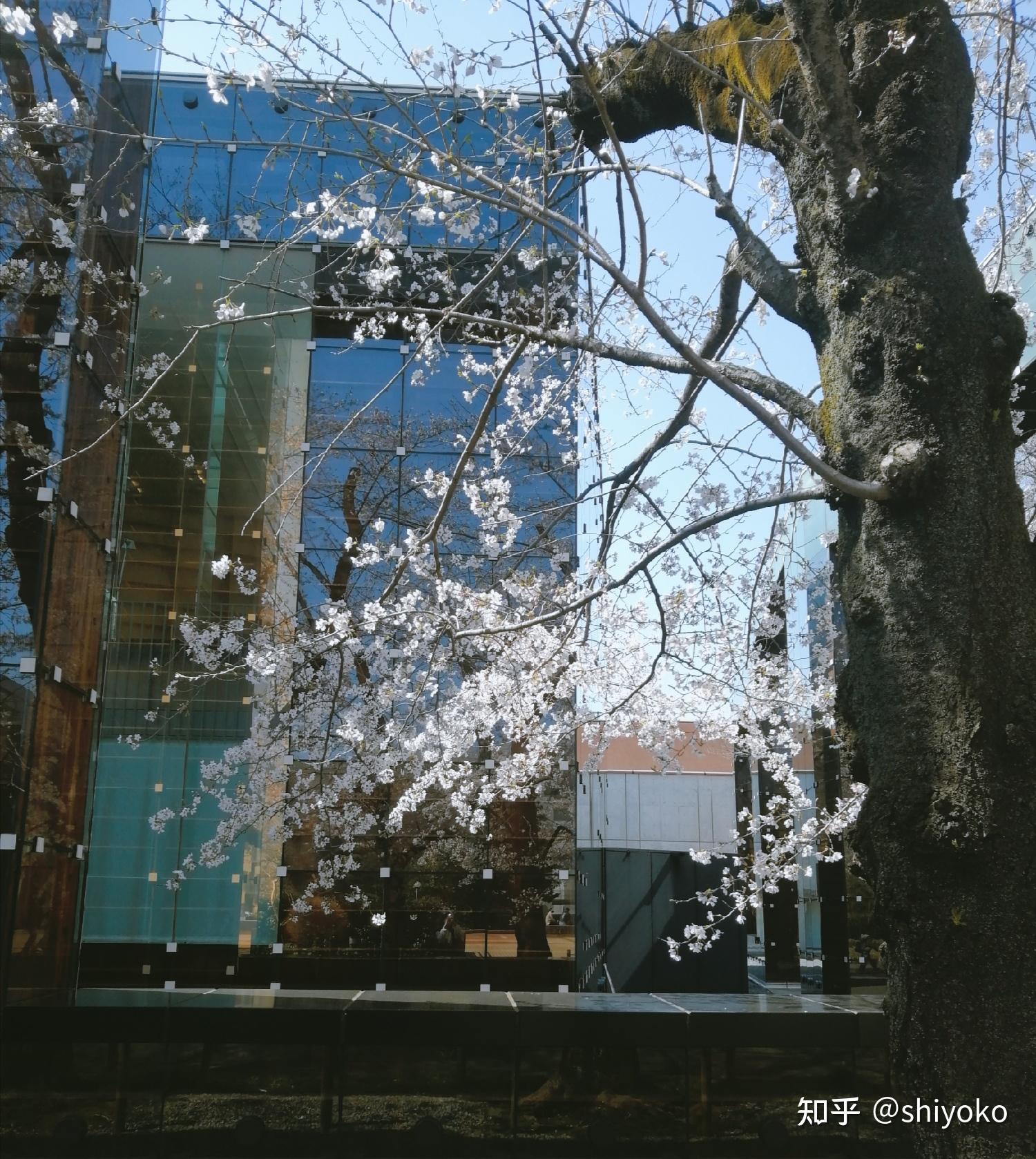 武藏美视デ大学院的一年纯分享