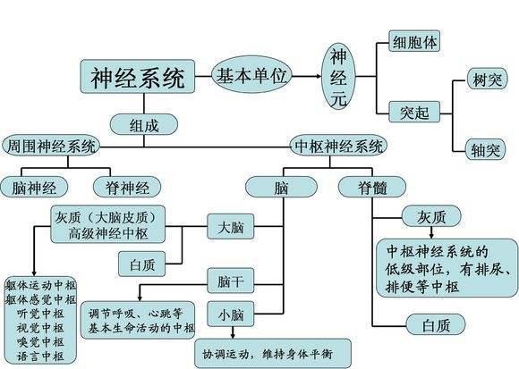 致朝鲜籍男子死亡的vx(神经毒剂)究竟有多"毒"?