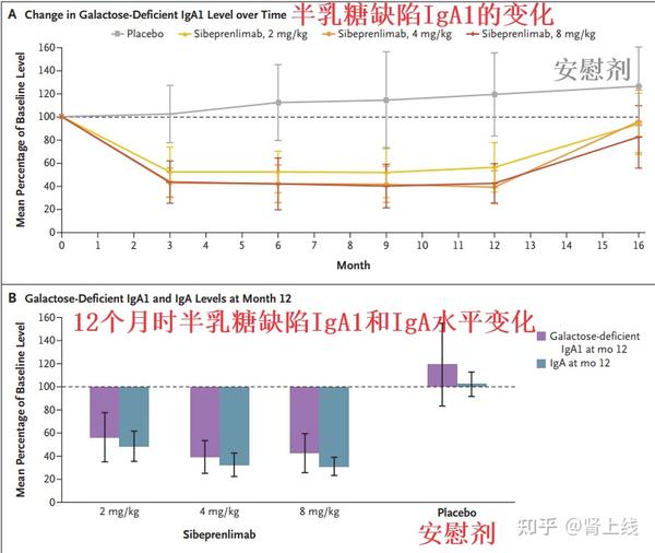 重磅：Sibeprenlimab治疗IgA肾病，II期临床试验结果太棒了！III期临床已启动 - 知乎