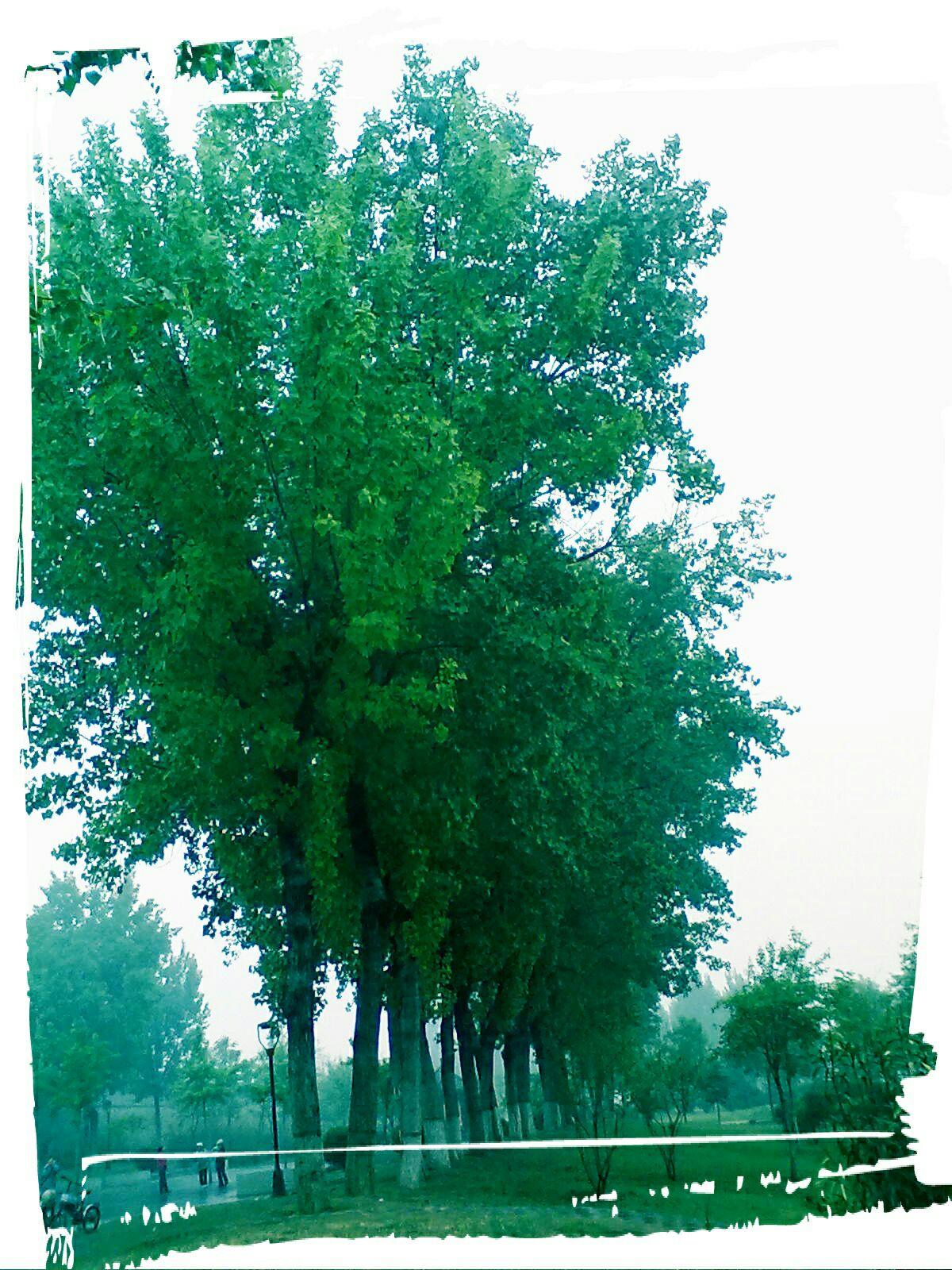 开封有什么好玩儿的地方?