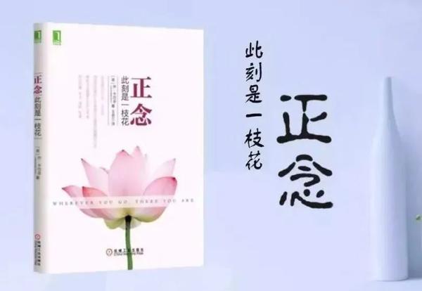 《正念:此刻是一枝花》(全集)及解读 - 知乎