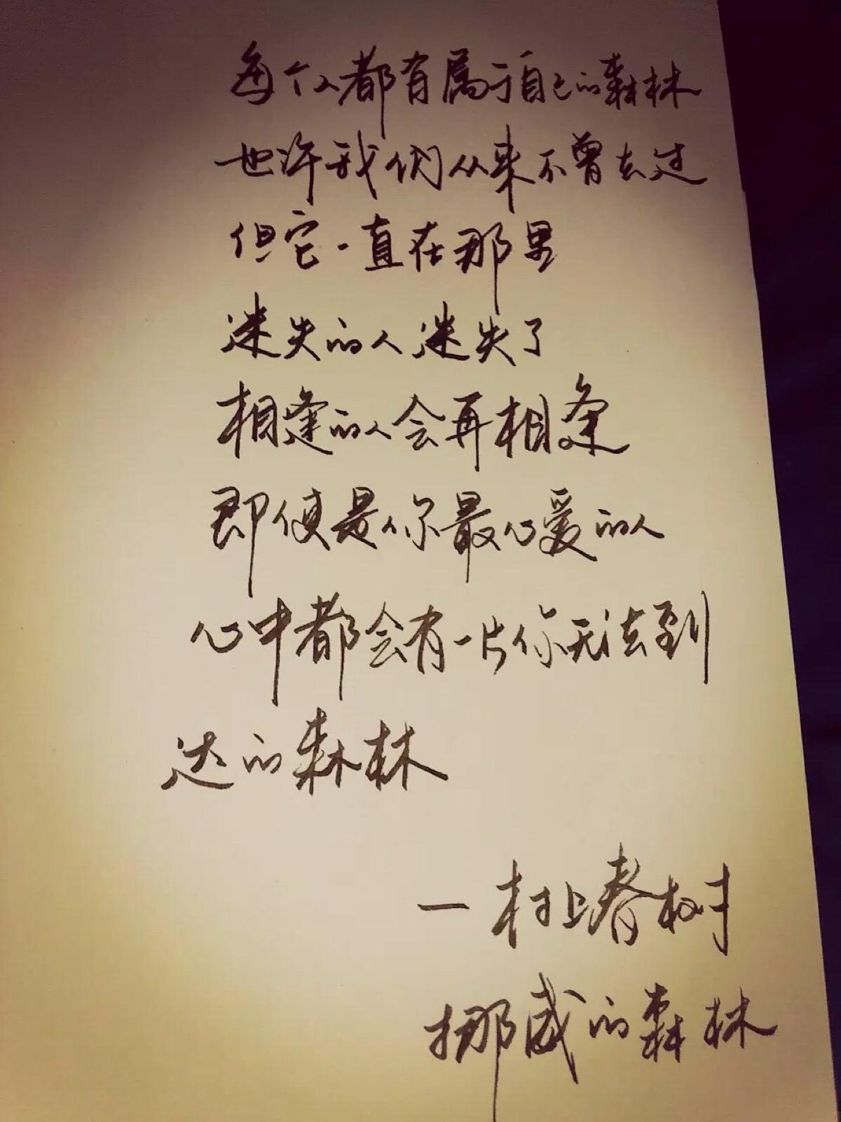 挪威的森林经典 zhuanlan.zhihu.com