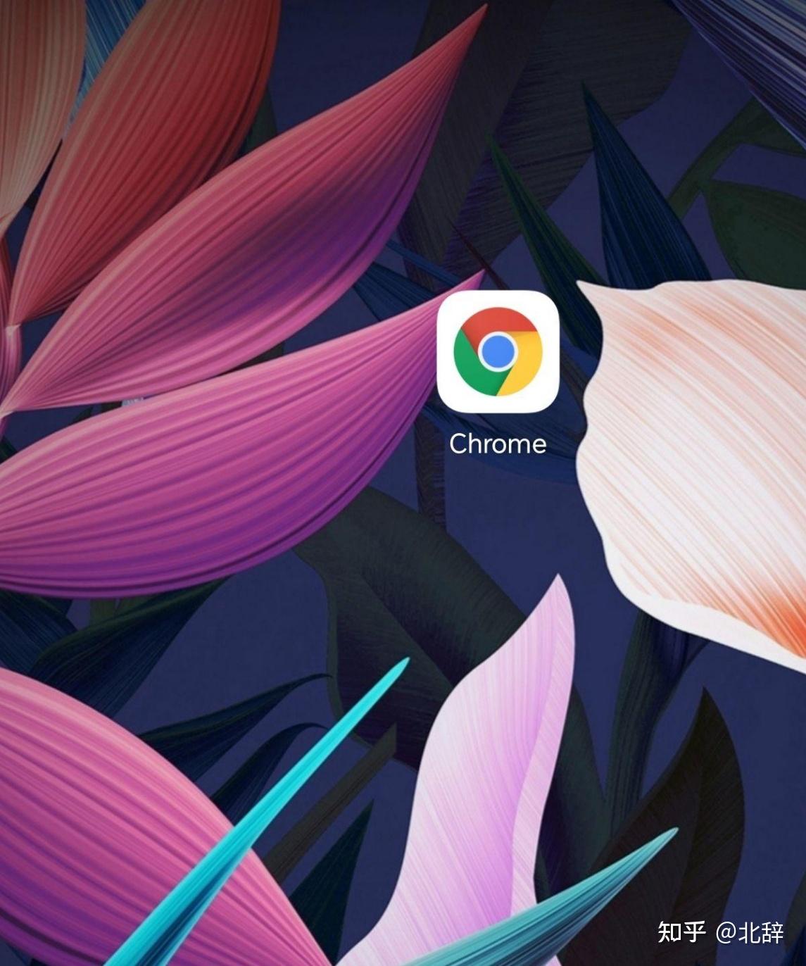 壹谷歌浏览器​www.google.