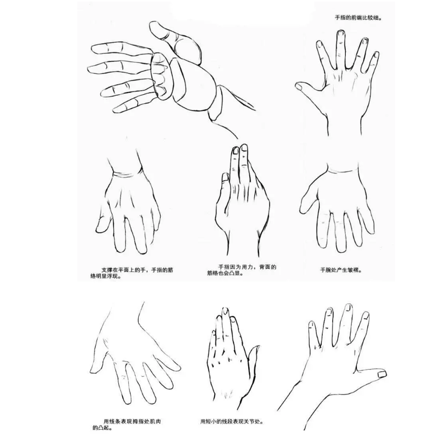 3d建模动漫人物手掌绘画要点