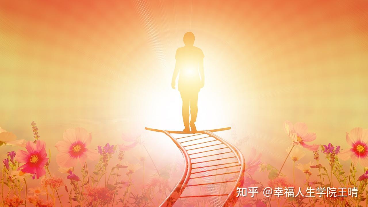 抑郁康复实录45：了解因果定律，走出抑郁，做自己生命的主人 - 知乎