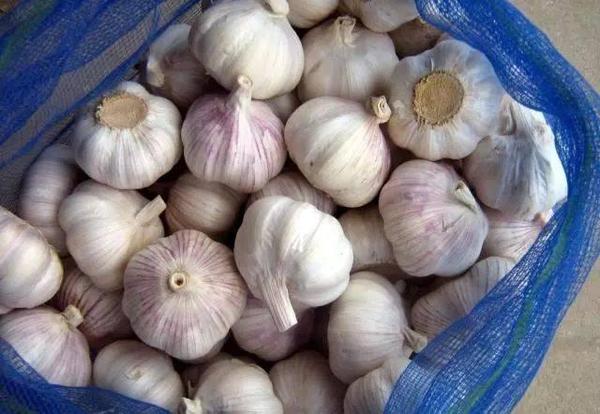 8类“难吃”的食物更养人,今天你吃了吗 - 知乎
