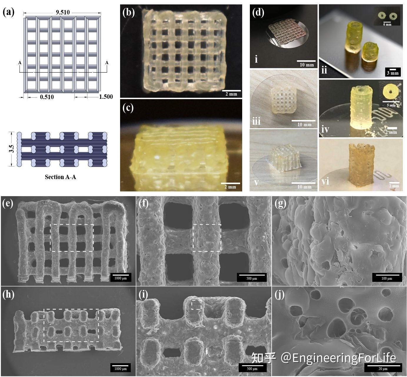 体内3d打印用gelma基水凝胶