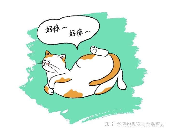 猫咪"蹭蹭"代表什么? - 知乎