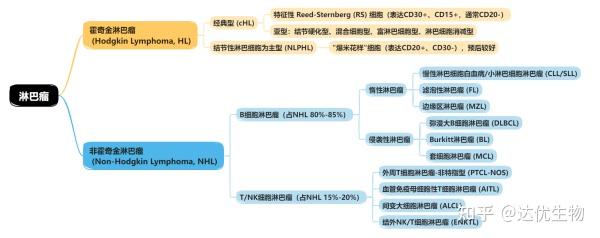 CD3、CD20…揭秘淋巴瘤免疫组化报告上的“CD家族” - 知乎