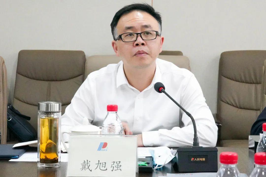 乐清市委副书记市长戴旭强一行莅临头部企业人民电器集团调研