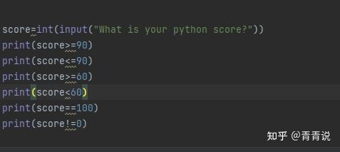 Python中的布尔bool类型:判断true or false - 知乎