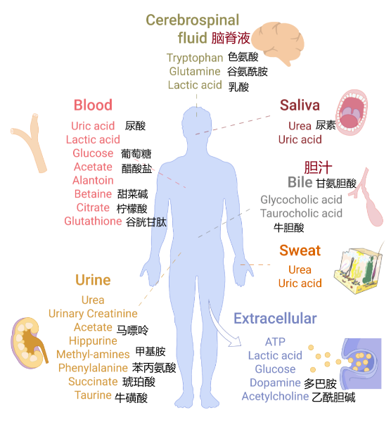 代谢组学笔记|什么是非靶向、靶向代谢组学？ - 知乎