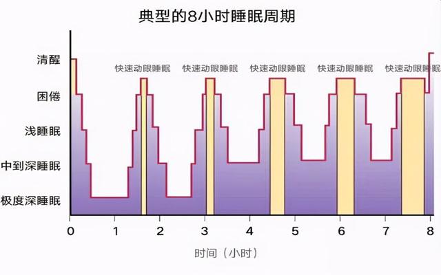 明明睡眠充足,为什么白天还总犯困? - 知乎