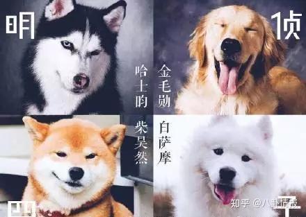 明星大侦探四开播昊然弟弟竟然一来就开车