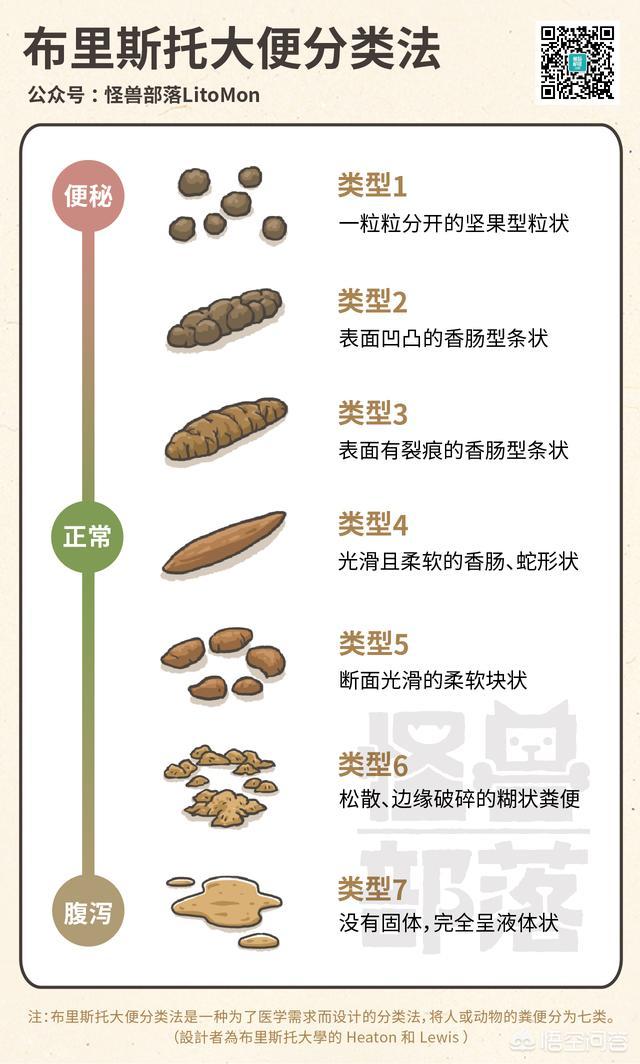 如何从狗狗的便便中发现健康问题