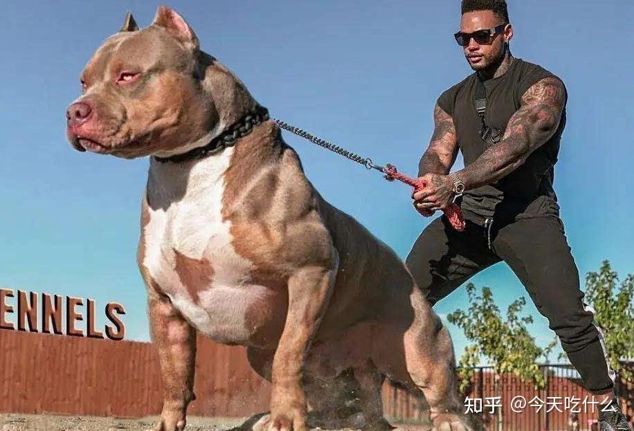 大比特，大比特小比特波特的区别