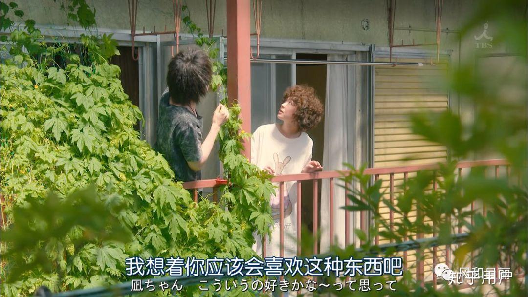 怎么理解日剧凪的新生活的结局