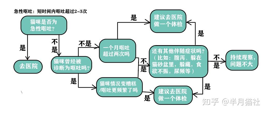 慢性呕吐实验图解图片