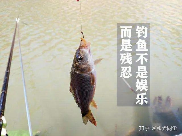 v2-db7003be540455ec1cf7f10770698b1a_r.jpg