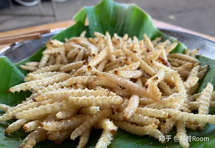 云南边境海关查获1.2吨竹虫,非法走私成吨害虫,竟只为了吃? - 知乎