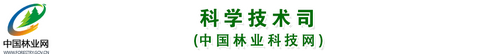 图标