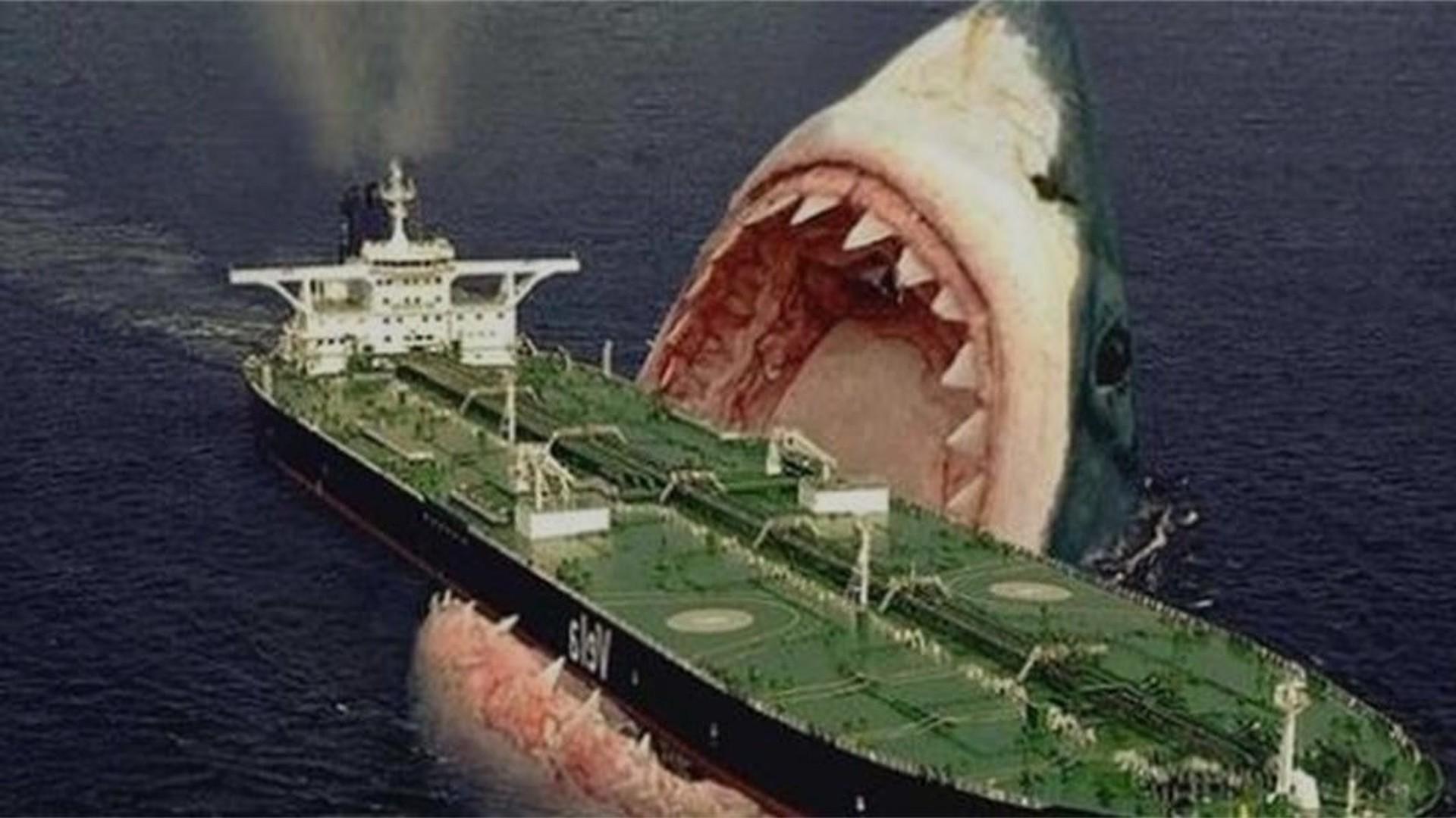 海域出现史前巨齿鲨,一口就吃掉了鲸鱼,开始疯狂袭击人类!