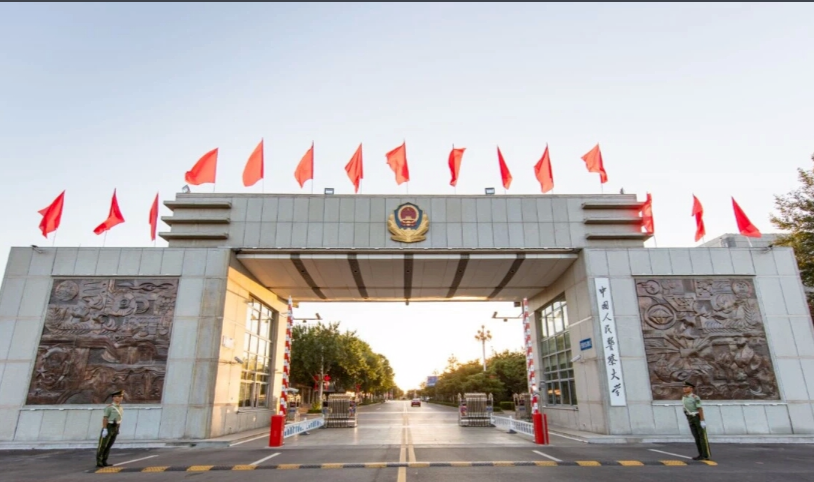 当医生做警察学艺术来这些大学就对了性价比超高