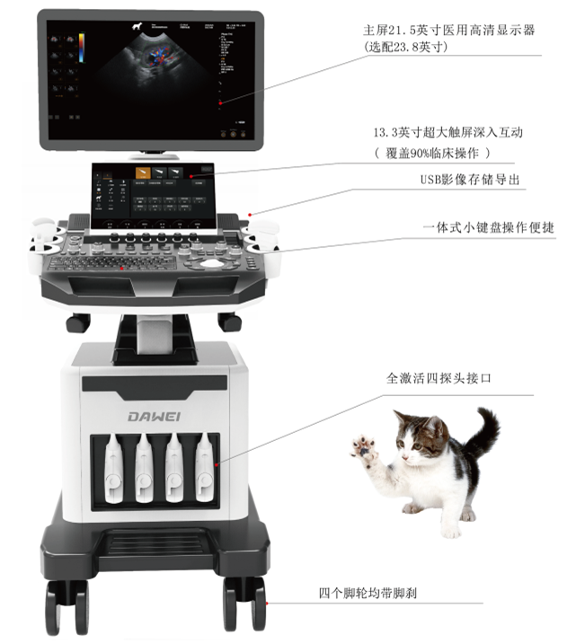 v2-dbd3415ed4703447bfa8acbd19e50e2b_1440w.jpg?source=172ae18b