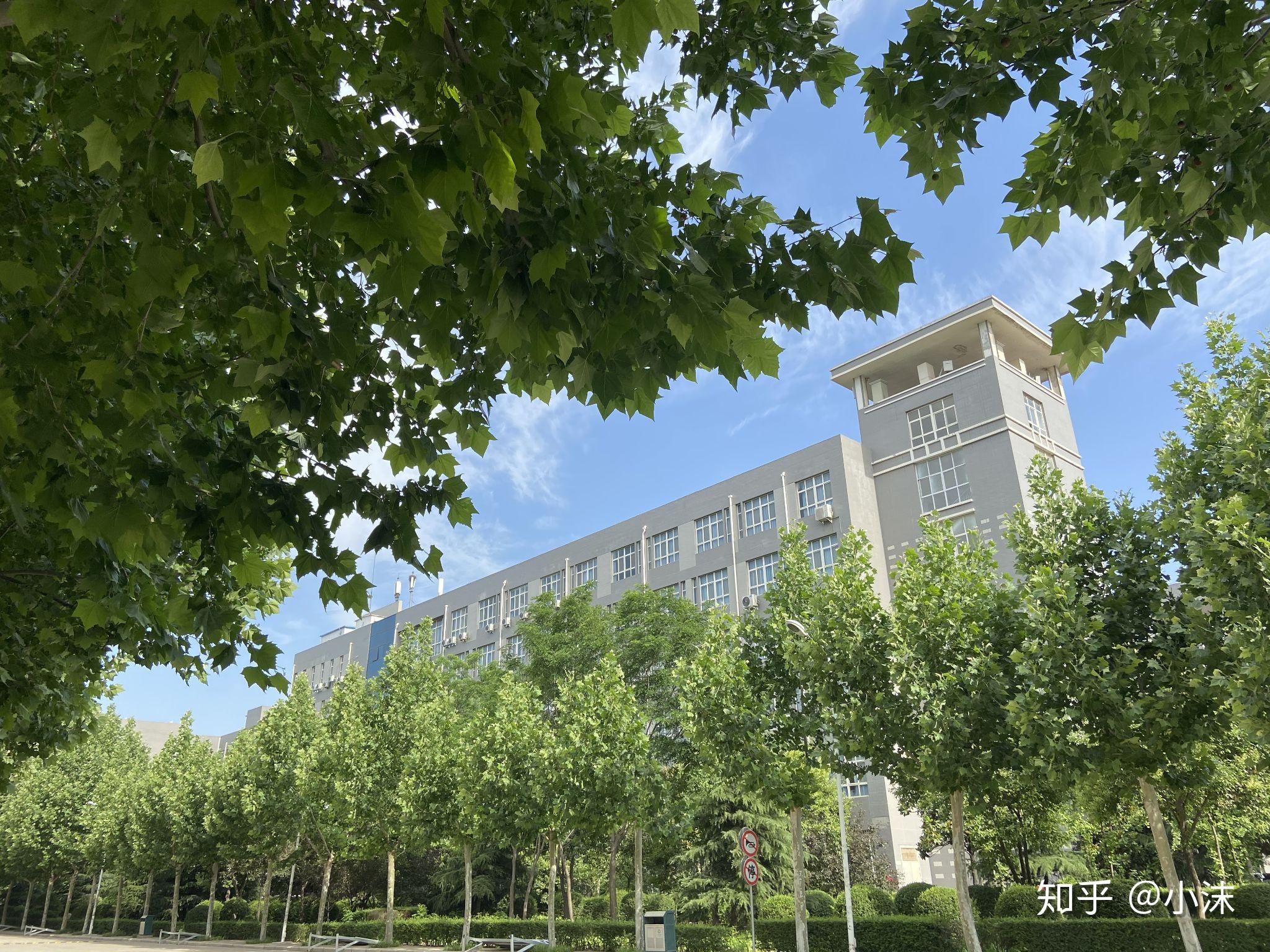 郑州工商学院的校园环境如何