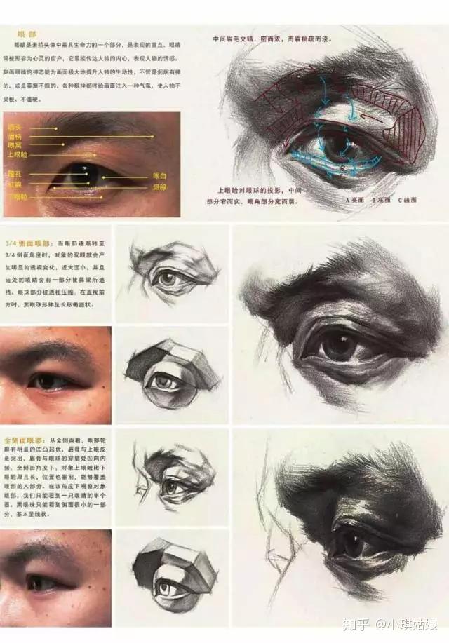 v2-dbd9c15010677fde322a733e5af350ba_r.jpg