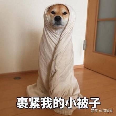 女性公务员体检什么项目?