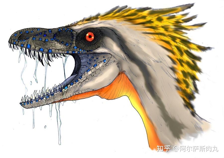 legendofcretaceous丨白垩传8龙驰天下下