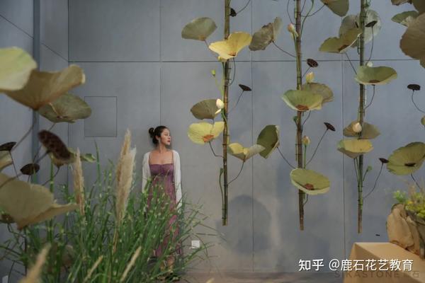 9小时65朵荷叶 夏日池塘畔的清凉晚宴 知乎